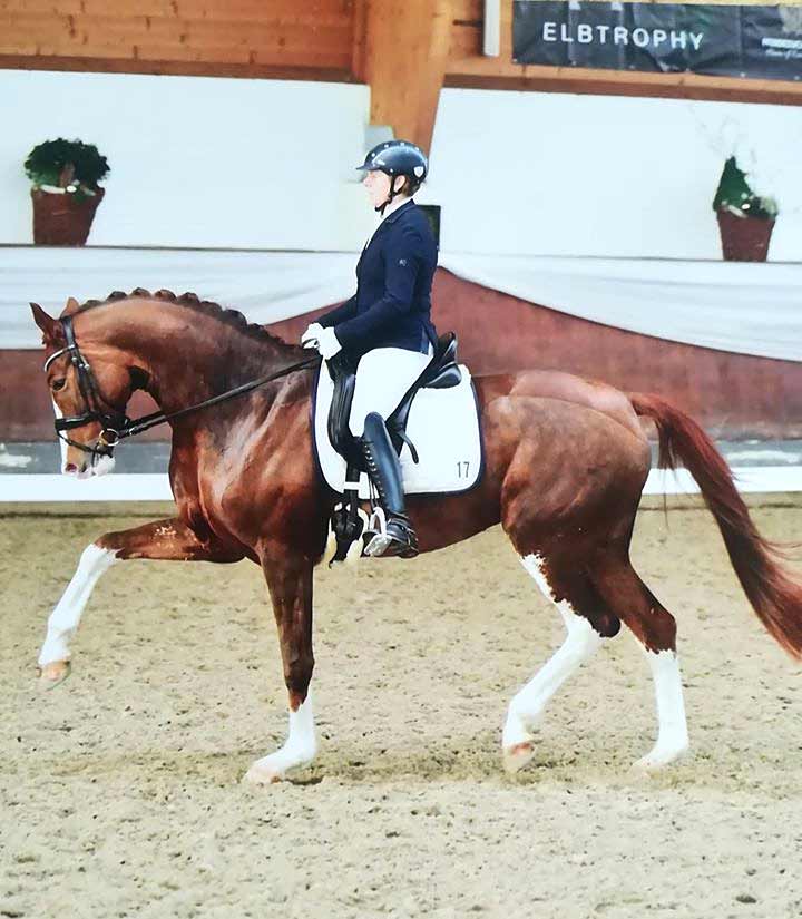 Eva Rainsborough, Testimonial-Foto für Johanna Pauls, Sitzschulung und funktionelles Bewegungstraining für Reiter. Hamburg & bundesweit.